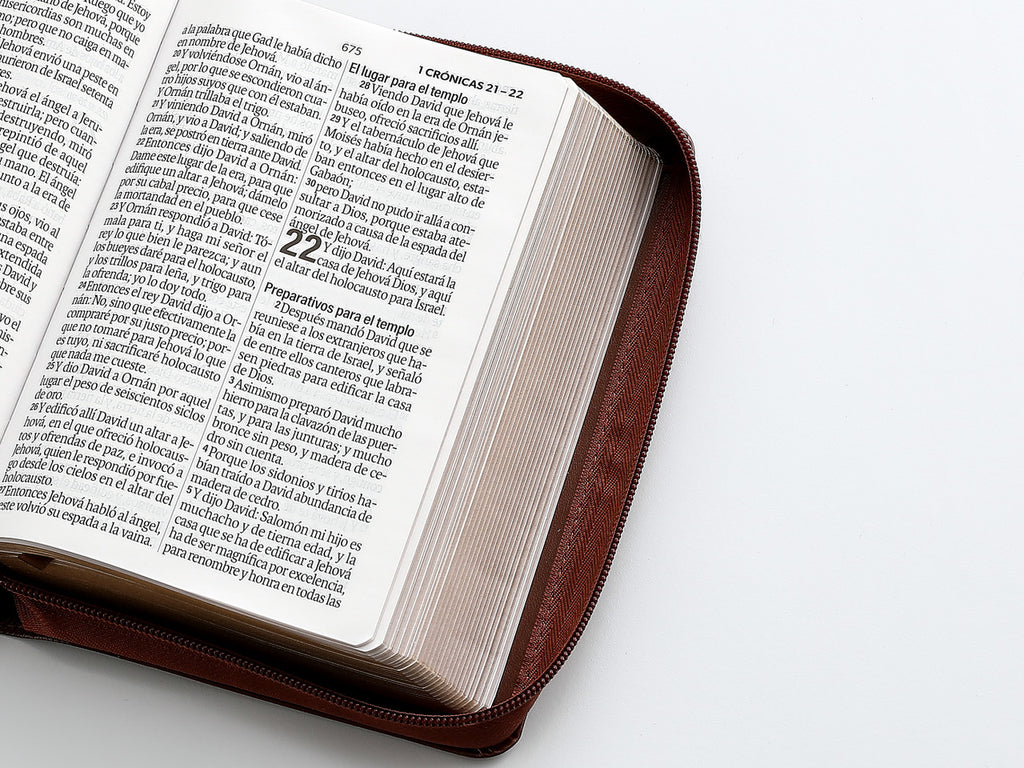 Biblia Mediana RVR1960 Letra Grande de 12 puntos cierre imitación piel  Café