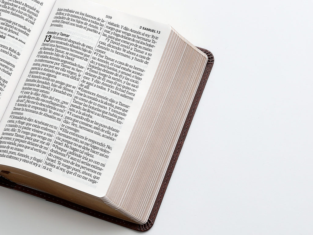 Biblia Mediana, versión 60, concordancia amplia 100 pág. canto dorado café