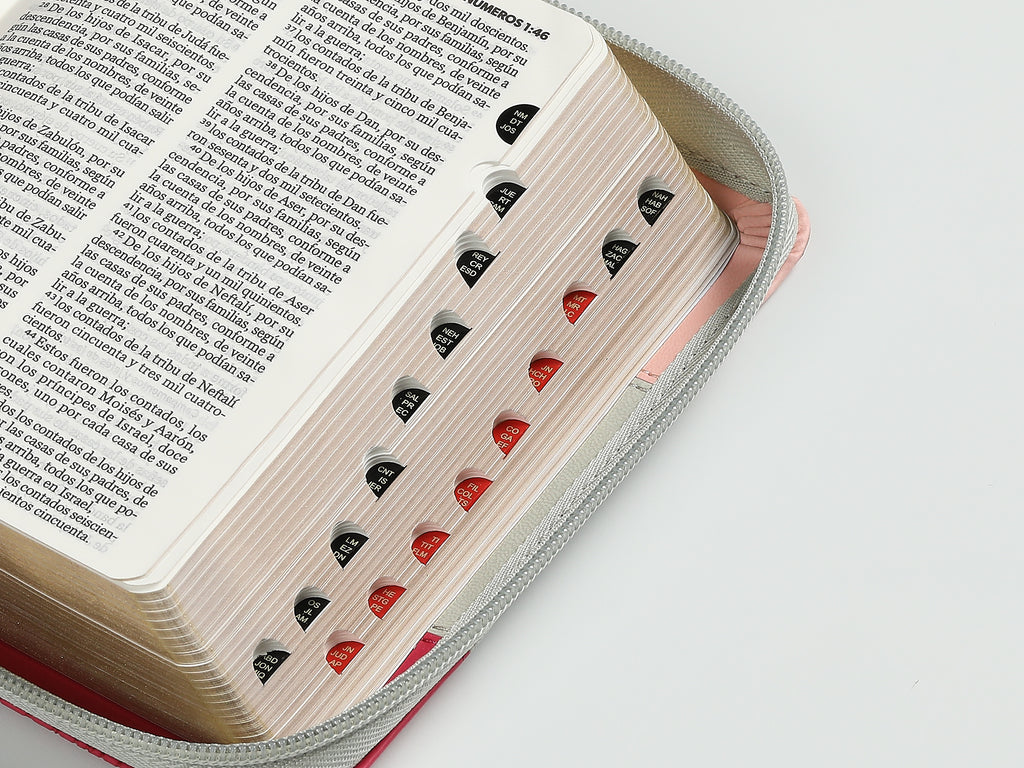 Biblia chica RVR60 025czti Concordancia Cierre Canto dorado Tricolor  Rosa/blanco/Fucsia