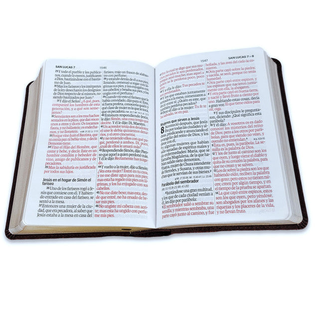 Biblia Mediana, versión 60, concordancia amplia 100 pág. canto dorado café