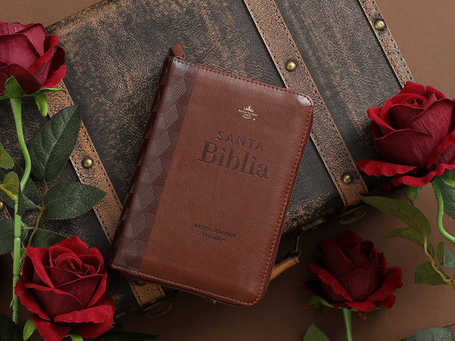 Biblia Mediana RVR1960 Letra Grande de 12 puntos cierre imitación piel  Café