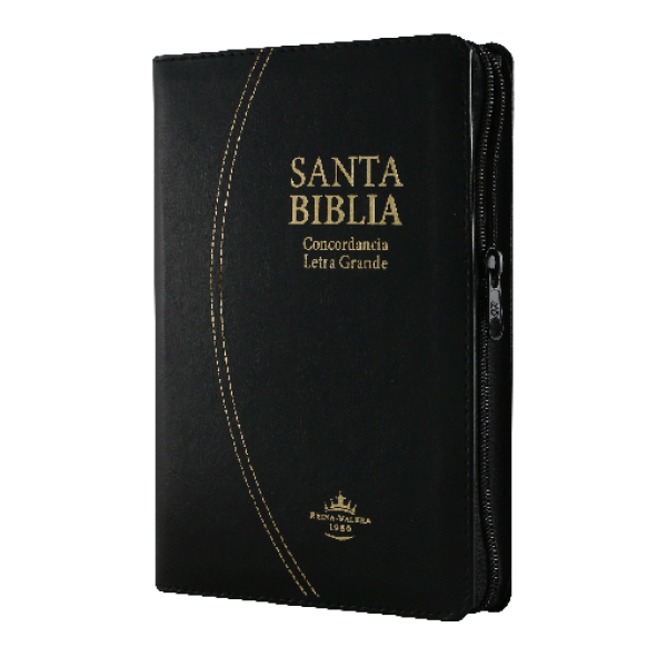 Biblia Grande Reina Valera 1960 Mediana Letra Grande Imitación Piel Negro