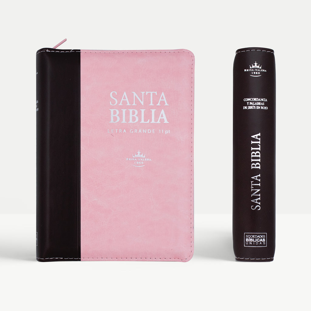 BIBLIA PIEL ROSA MARRON