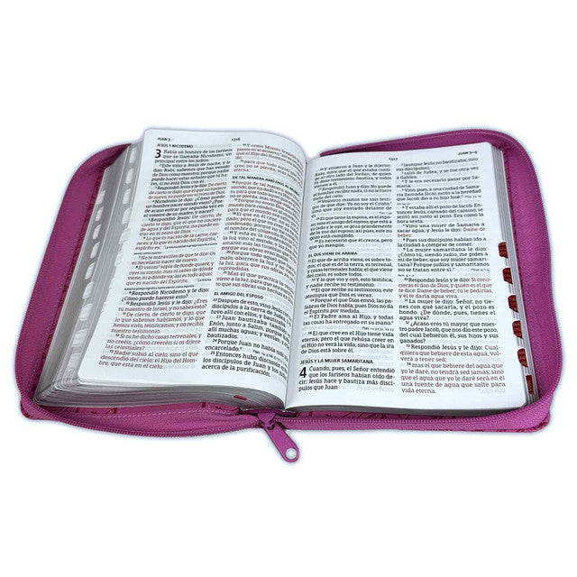 Biblia Letra Grande Manual con Cierre RV1960 imit. piel rosa floral con índice