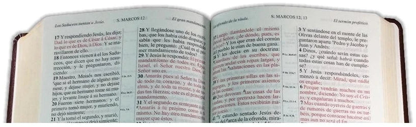 Biblia Versión Antigua 1909 grande vino canto dorado