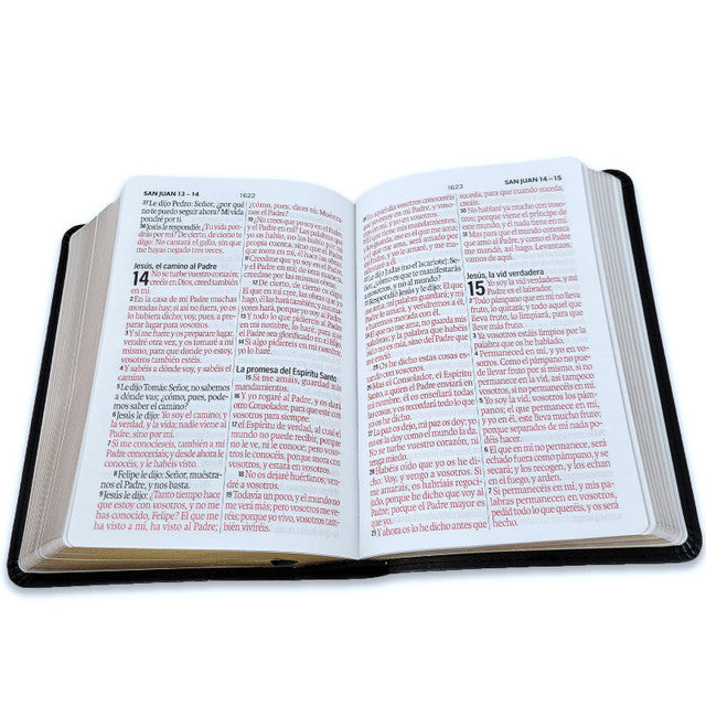 Biblia mediana, versión 60, concordancia amplia 100 pág, canto dorado negro gris