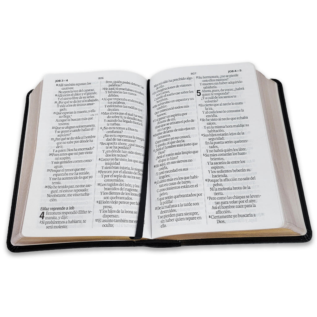 Biblia mediana, versión 60, concordancia amplia 100 pág, canto dorado negro gris