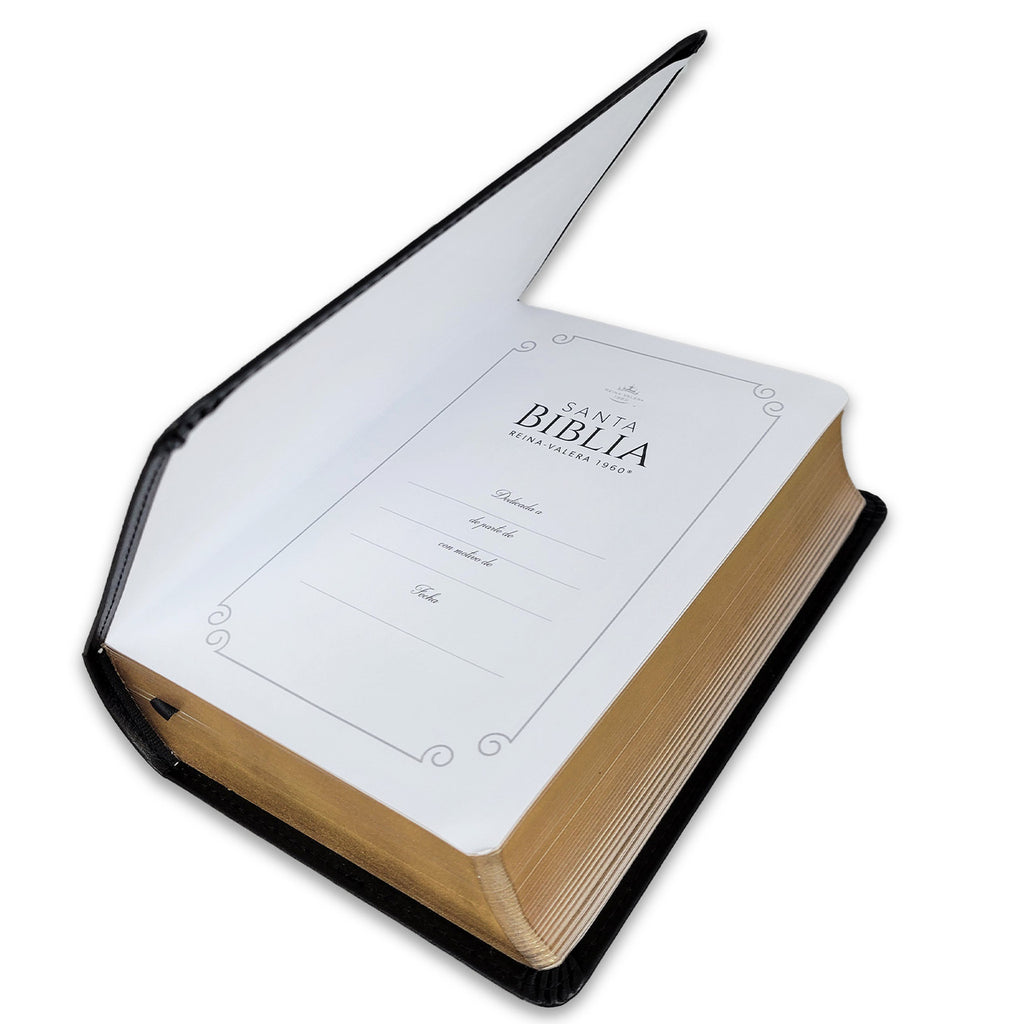 Biblia mediana, versión 60, concordancia amplia 100 pág, canto dorado negro gris