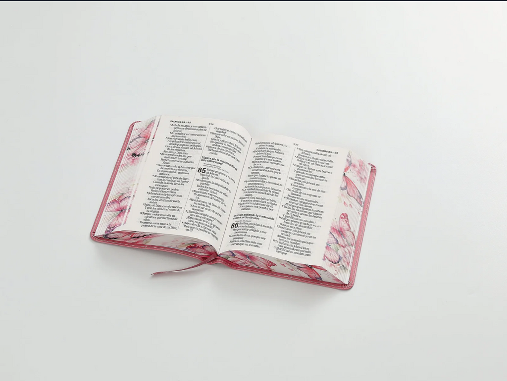 Biblia mediana, letra grande 12 puntos  cierre, índice, canto pintado, rosa mariposa