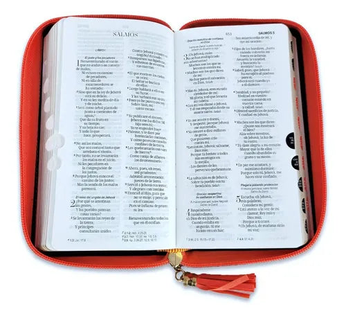 BIBLIA DE CHEQUERA CZTI PJR CORAL/BEIGE/CORAL MB