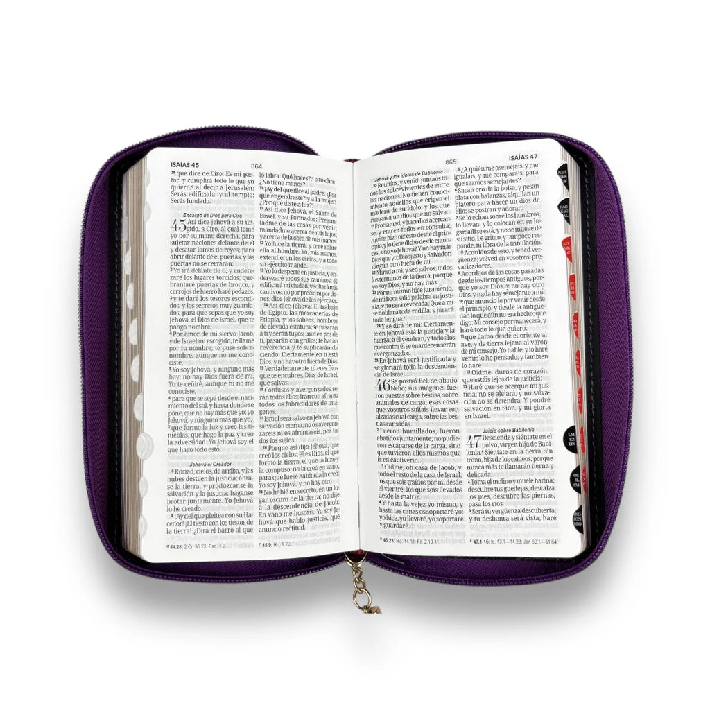 BIBLIA DE CHEQUERA CZTI PJR LILA/LILA/GRIS MB