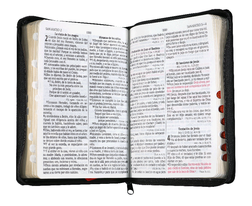 Biblia Grande Reina Valera 1960 Mediana Letra Grande Imitación Piel Negro