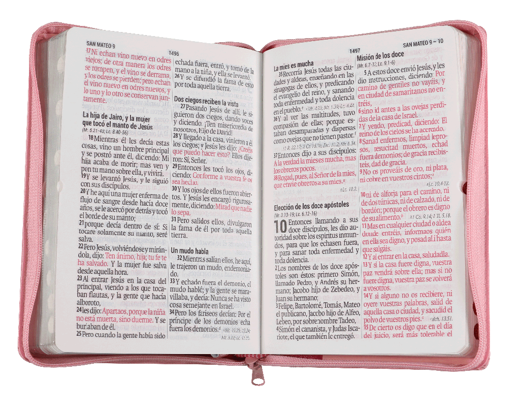 Biblia Grande Reina Valera 1960 , Letra Gigante Imitación Piel Rosa Rosa [RVR066cLSGiPJRZTI]