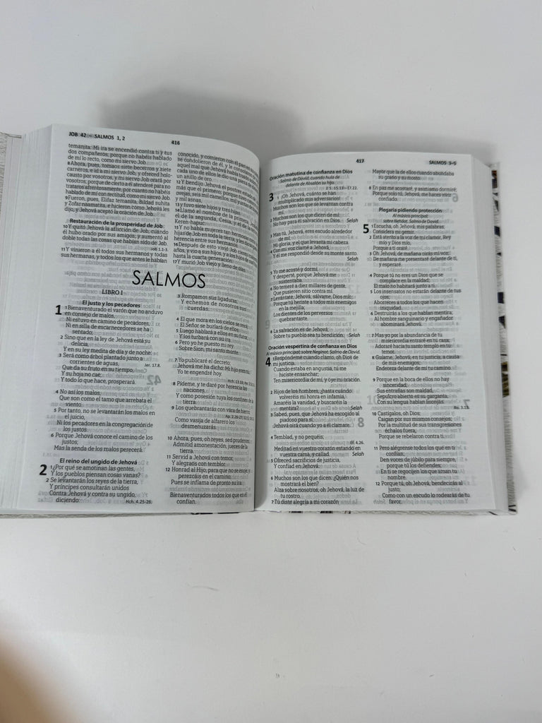 Biblia grande Mujer Virtuosa pasta de cartón