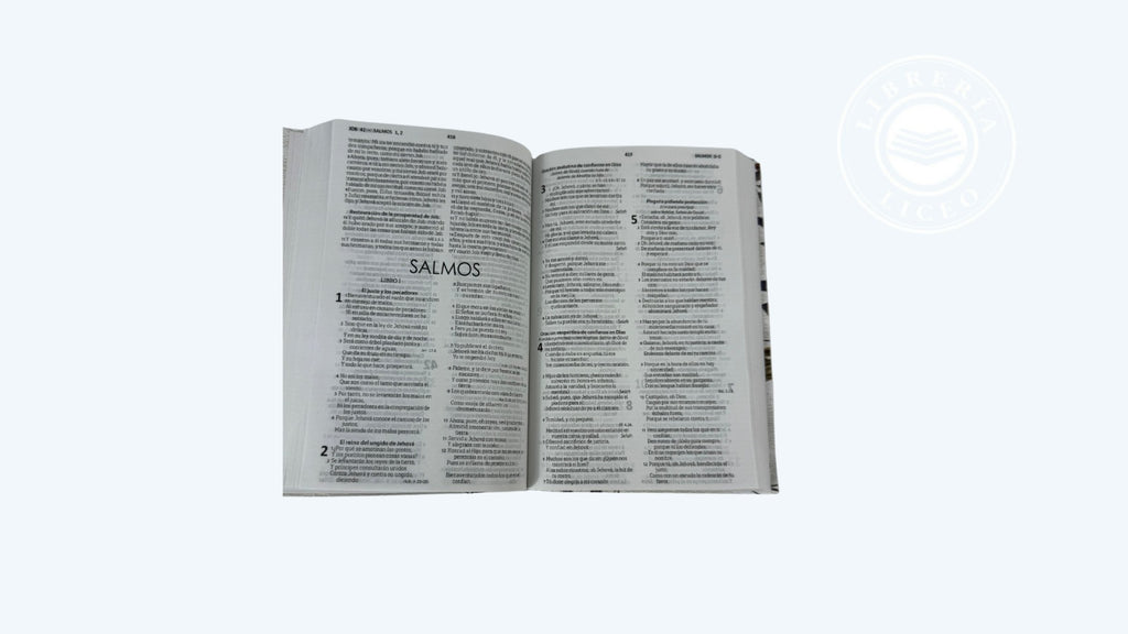 Biblia grande Mujer Virtuosa pasta de cartón
