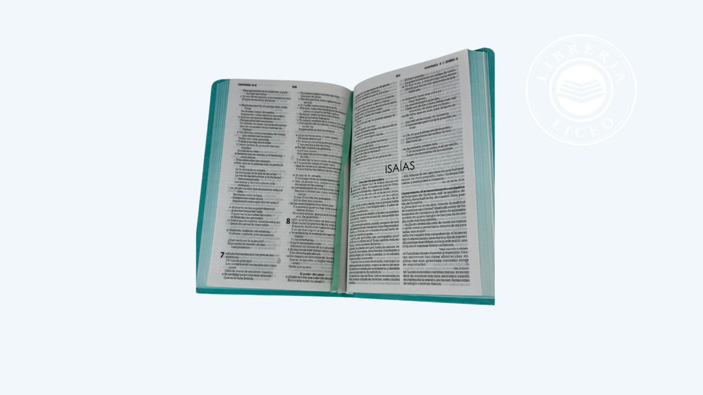 Biblia grande ultra delgada canto pintado verde