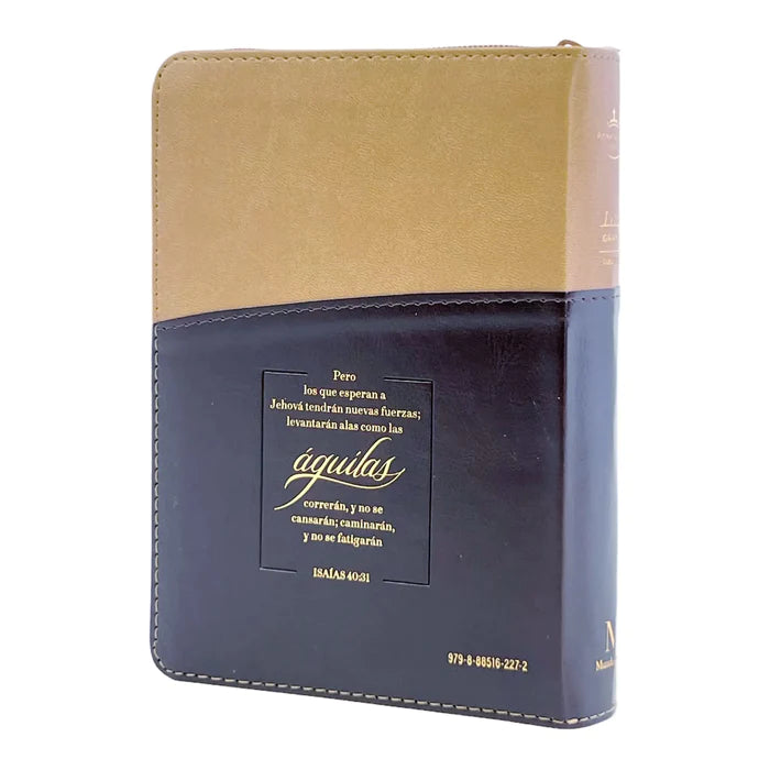 Biblia Letra Grande RV1960 Con Indice, 9798885160087 - Foto 12