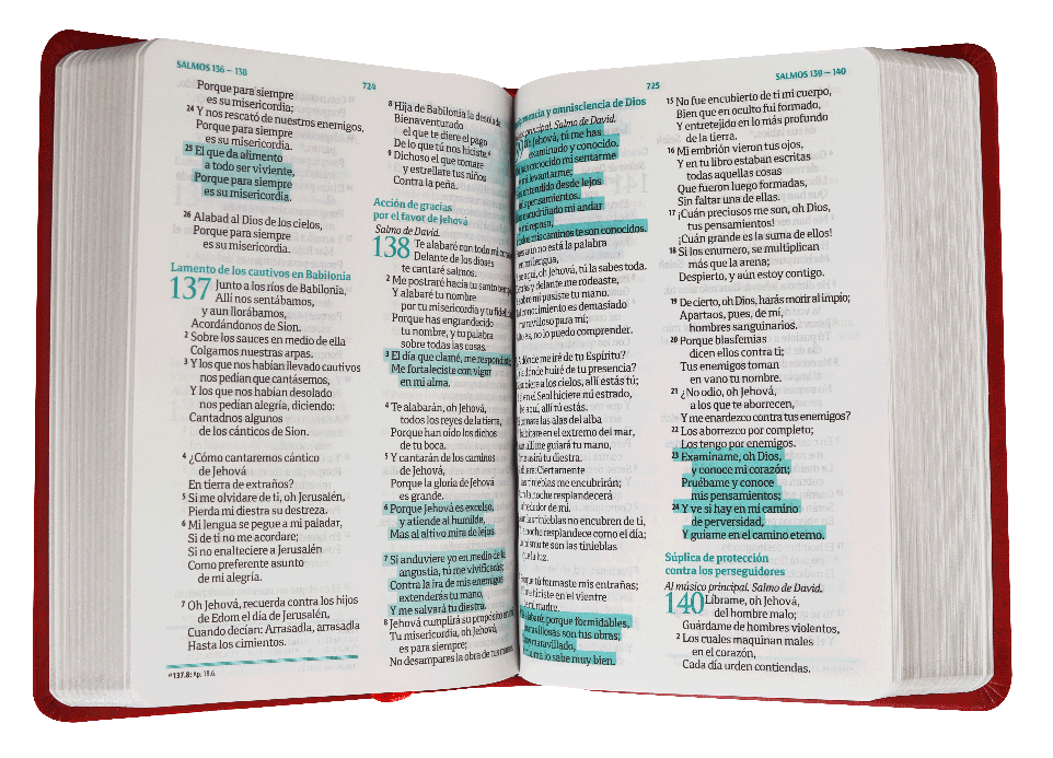 Biblia Mediana RVR046cLMFB Fuente de Bendiciones Roja RVR 1960