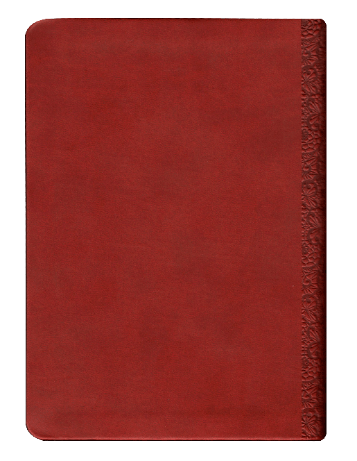 Biblia Mediana RVR046cLMFB Fuente de Bendiciones Roja RVR 1960