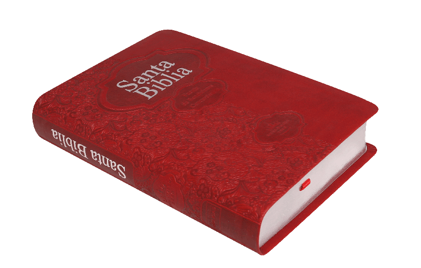 Biblia Mediana RVR046cLMFB Fuente de Bendiciones Roja RVR 1960