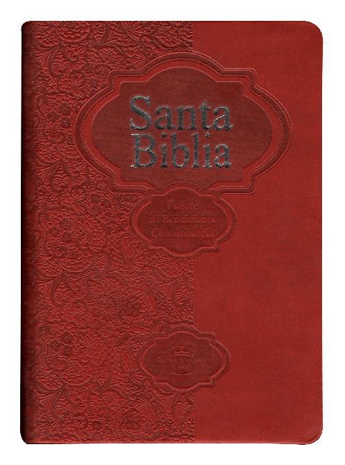 Biblia Mediana RVR046cLMFB Fuente de Bendiciones Roja RVR 1960