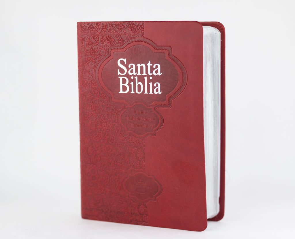 Biblia Mediana RVR046cLMFB Fuente de Bendiciones Roja RVR 1960