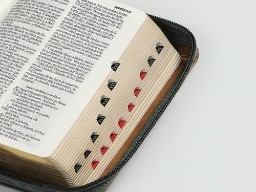 Biblia RVR60 Bolsillo i/piel Elegante Verde/Café con cierre/índice