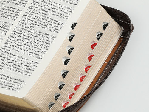 BIBLIA REINA VALERA 1960 COLOR CAFE LETRA GRANDE