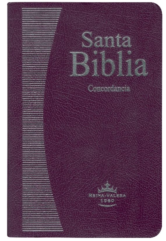 Biblia Reina Valera 1960 Mediana Letra Mediana Imitación Piel Lila