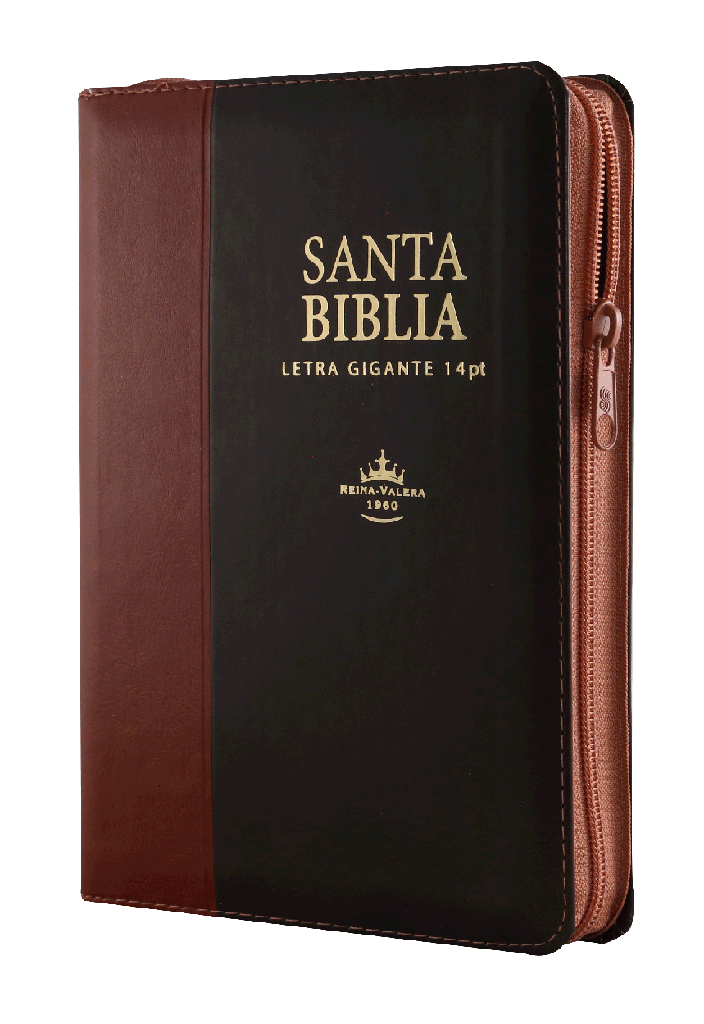 BIBLIA MARRON CAFE
