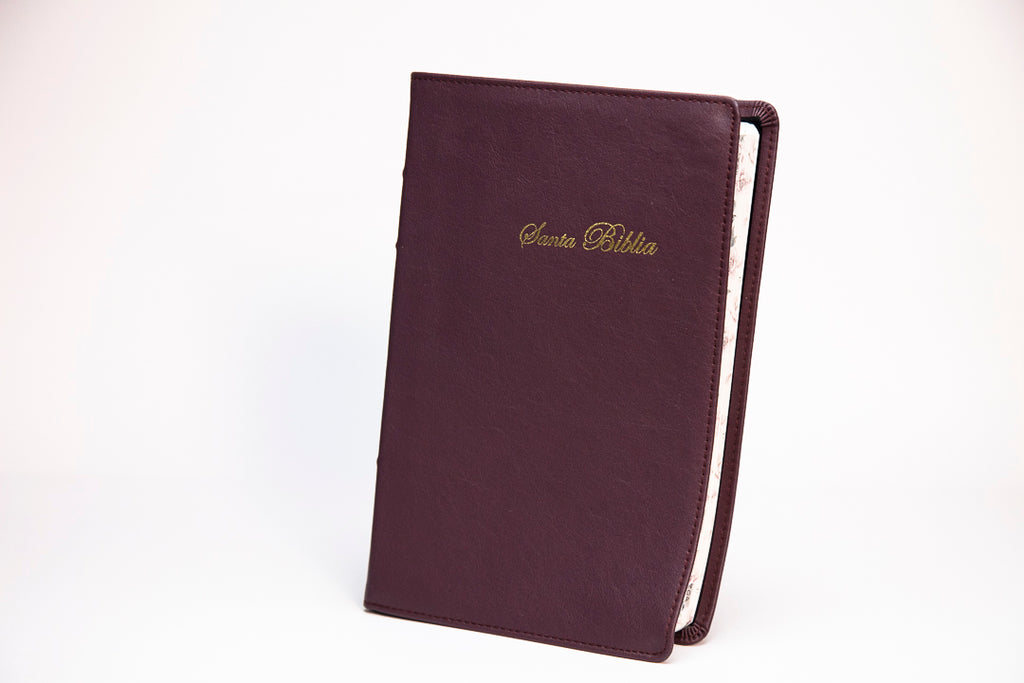 Biblia Reina Valera 1960 Grande Letra Grande Piel morado
