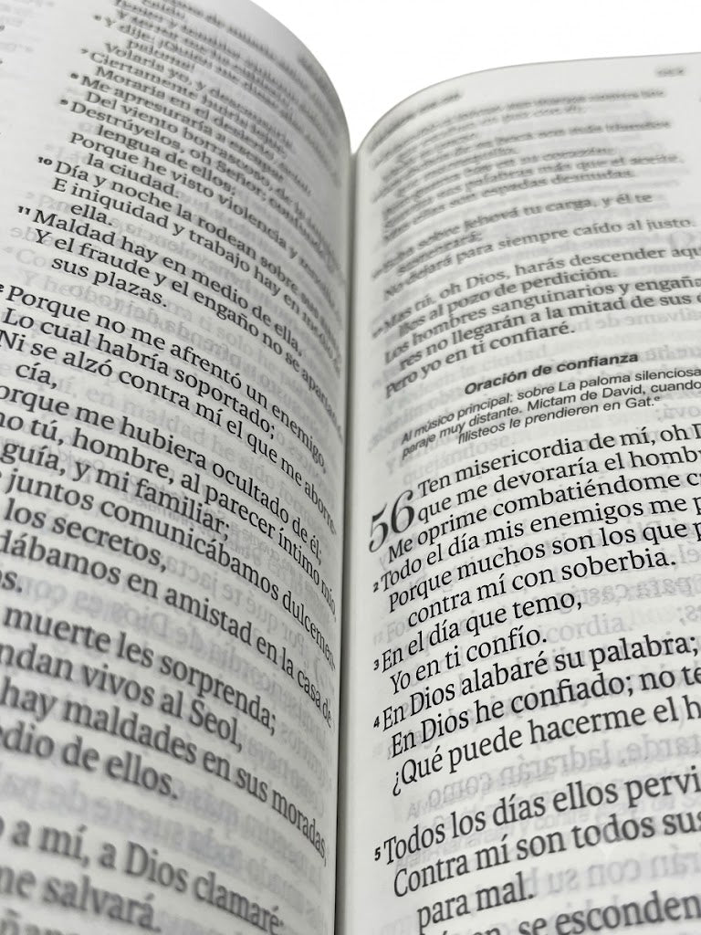 Biblia RVR1960cz Obsequios y Premios Imitación Piel Amarillo Abejas Con Cierre