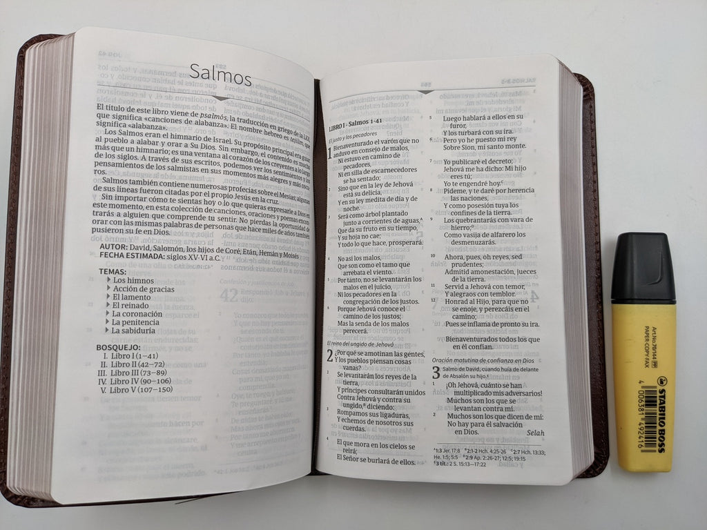 Biblia Compacta Letra Grande. RVR 1960, Piel Fab. Marrón