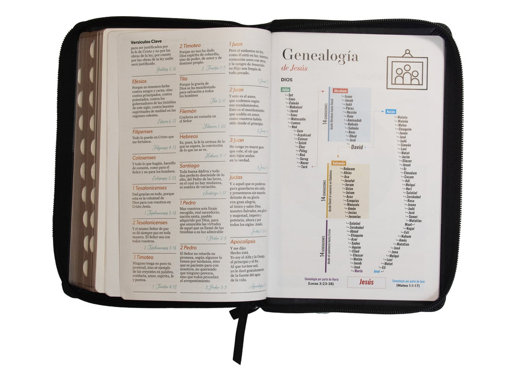 Biblia grande, letra grande, cierre, versión 60, color Negro Gris