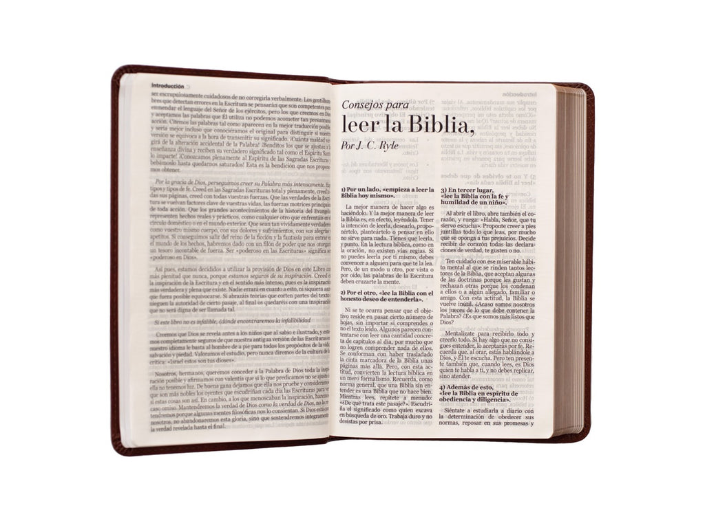 Biblia RVR60 Tamaño Manual Letra Grande i/piel CAFÉ