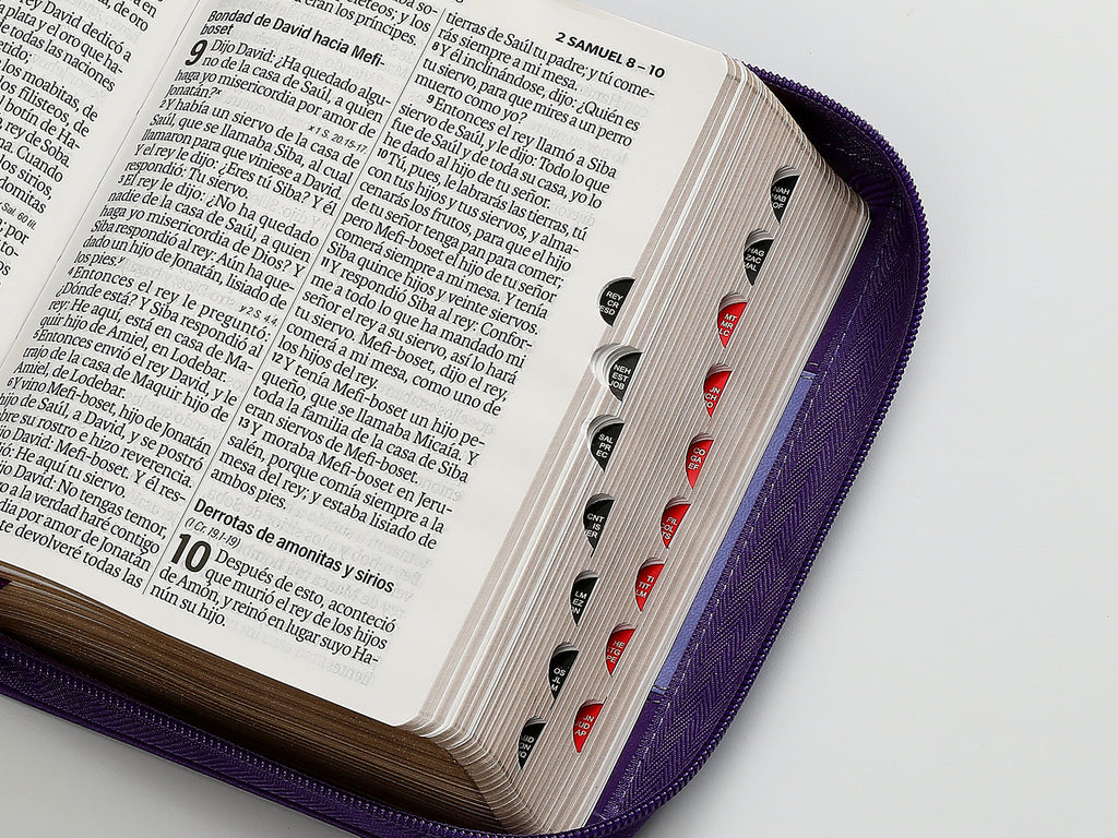 Biblia mediana, letra grande 12 puntos  cierre, índice, canto pintado, bicolor morado