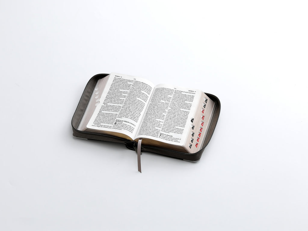 Biblia mediana con cierre índice canto dorado León letra grande 12 punto negro/gris