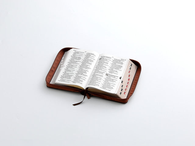Biblia mediana con cierre índice canto dorado León letra grande 12 punto marrón /café