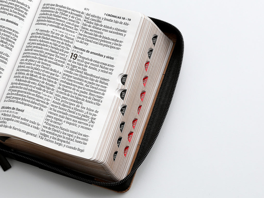 Biblia mediana con letra grande, Cierre, 12 puntos RV1960, imitación piel negro y café con índice