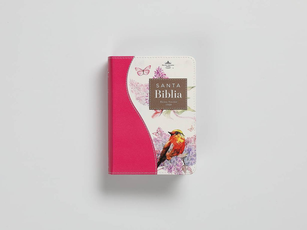 Biblia RVR60 025c CP PJR Renovación Fucsia