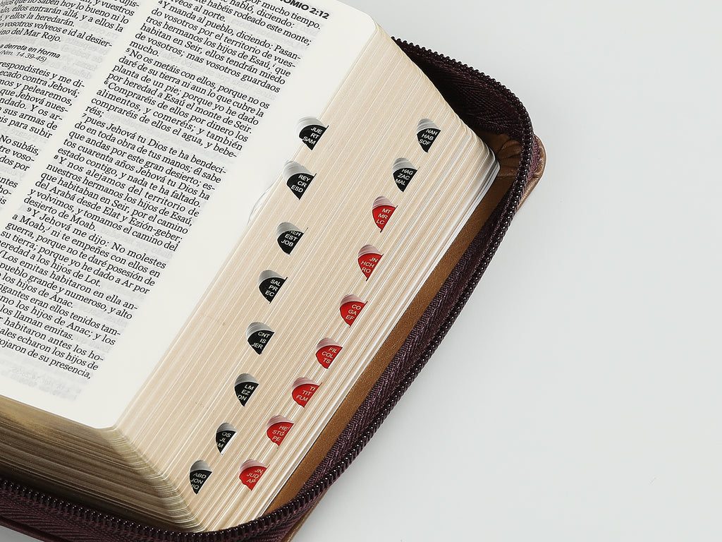 Biblia RVR60 Bolsillo i/piel Elegante Café/Café con cierre/índice