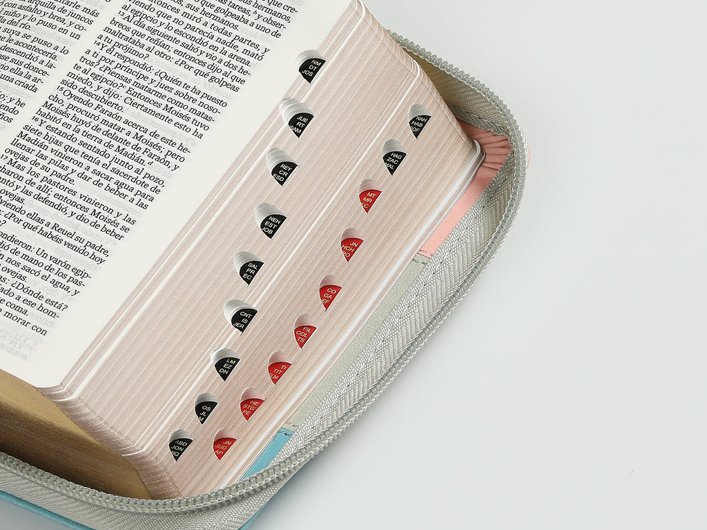 BIBLIA TRICOLOR ROSA/BLANCO/TURQUESA