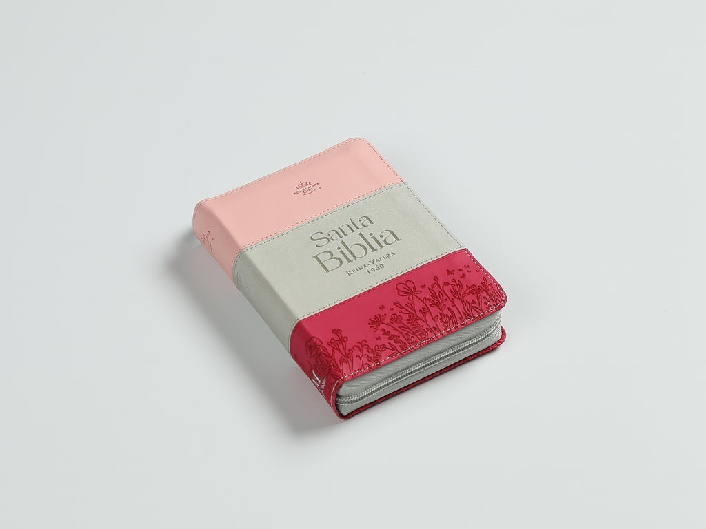 Biblia chica RVR60 025czti Concordancia Cierre Canto dorado Tricolor  Rosa/blanco/Fucsia