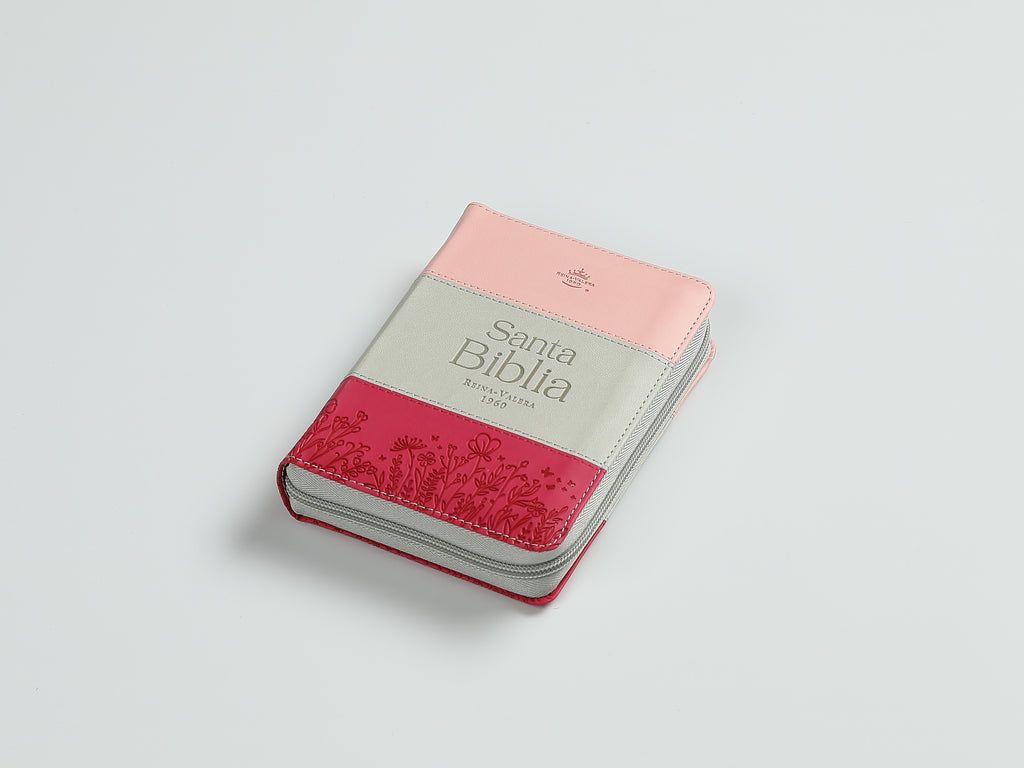 Biblia chica RVR60 025czti Concordancia Cierre Canto dorado Tricolor  Rosa/blanco/Fucsia