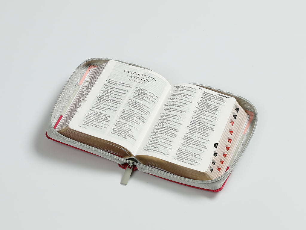 Biblia chica RVR60 025czti Concordancia Cierre Canto dorado Tricolor  Rosa/blanco/Fucsia