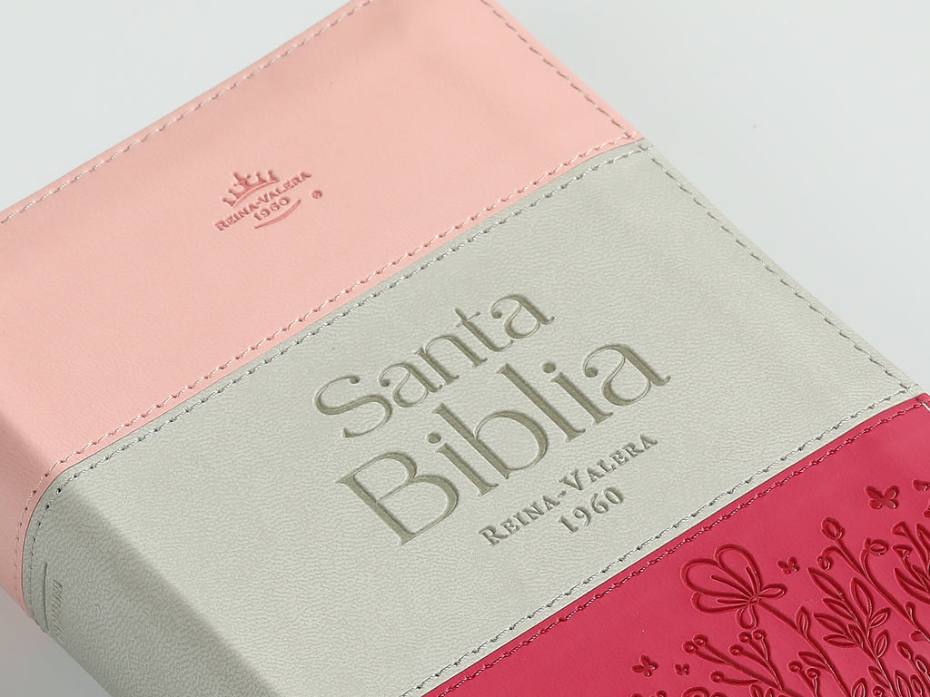 Biblia chica RVR60 025czti Concordancia Cierre Canto dorado Tricolor  Rosa/blanco/Fucsia