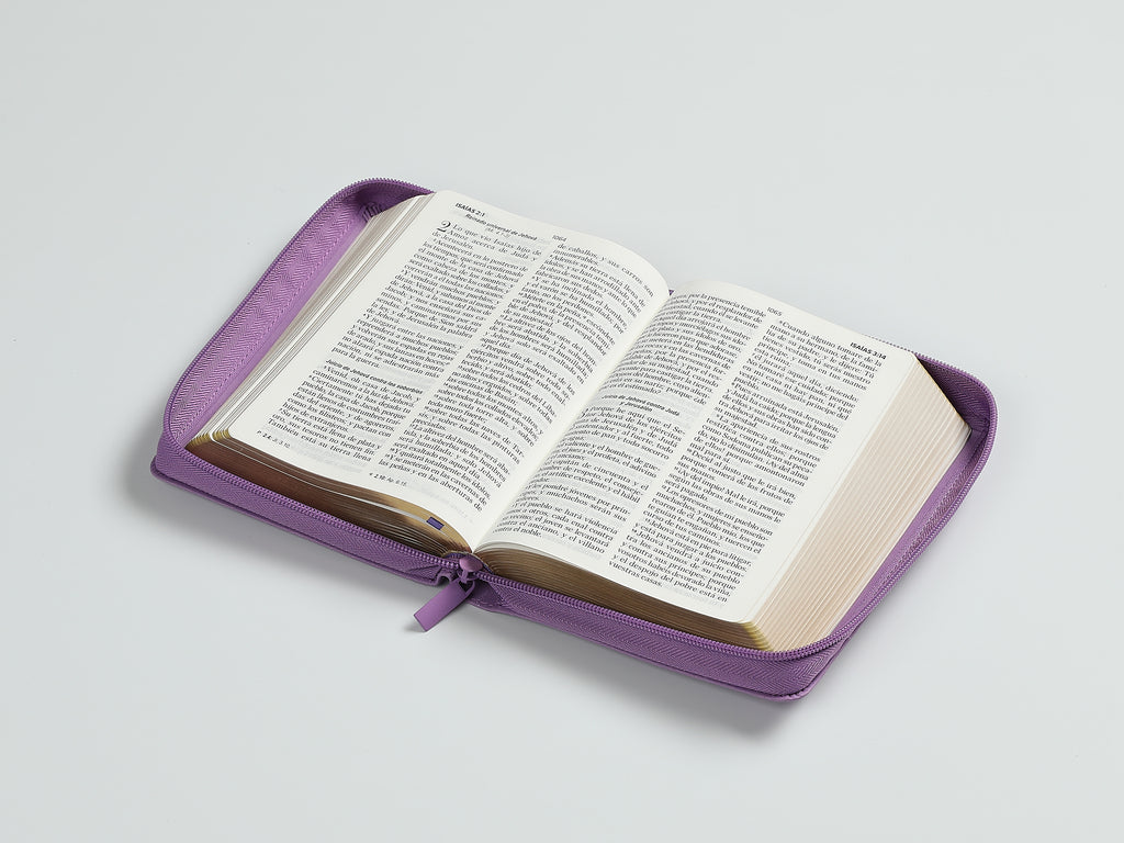 Biblia RVR60 portátil Letra Grande 11 puntos i/piel con cierre Lila