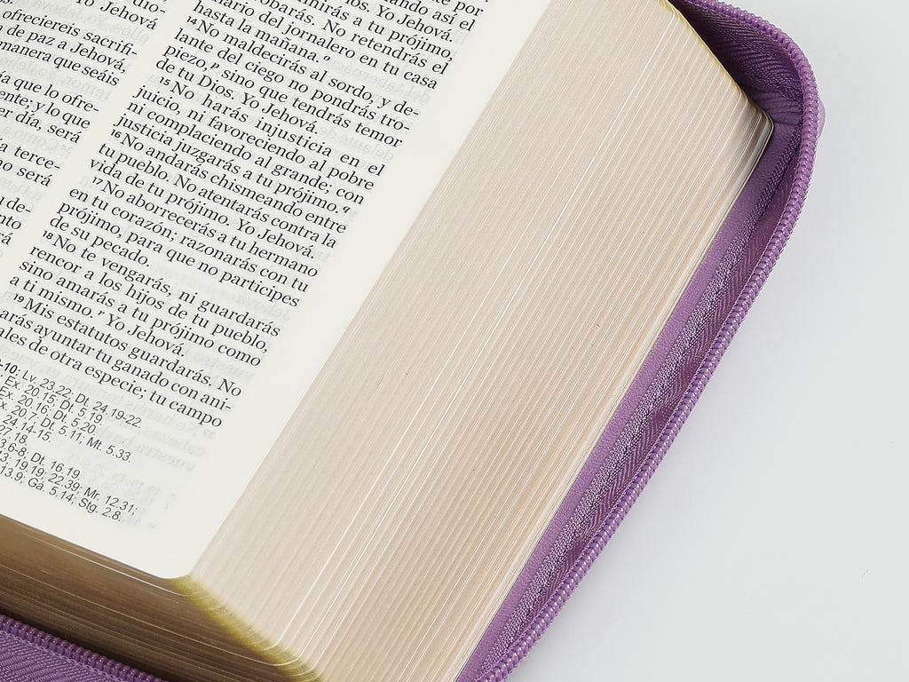 Biblia RVR60 portátil Letra Grande 11 puntos i/piel con cierre Lila