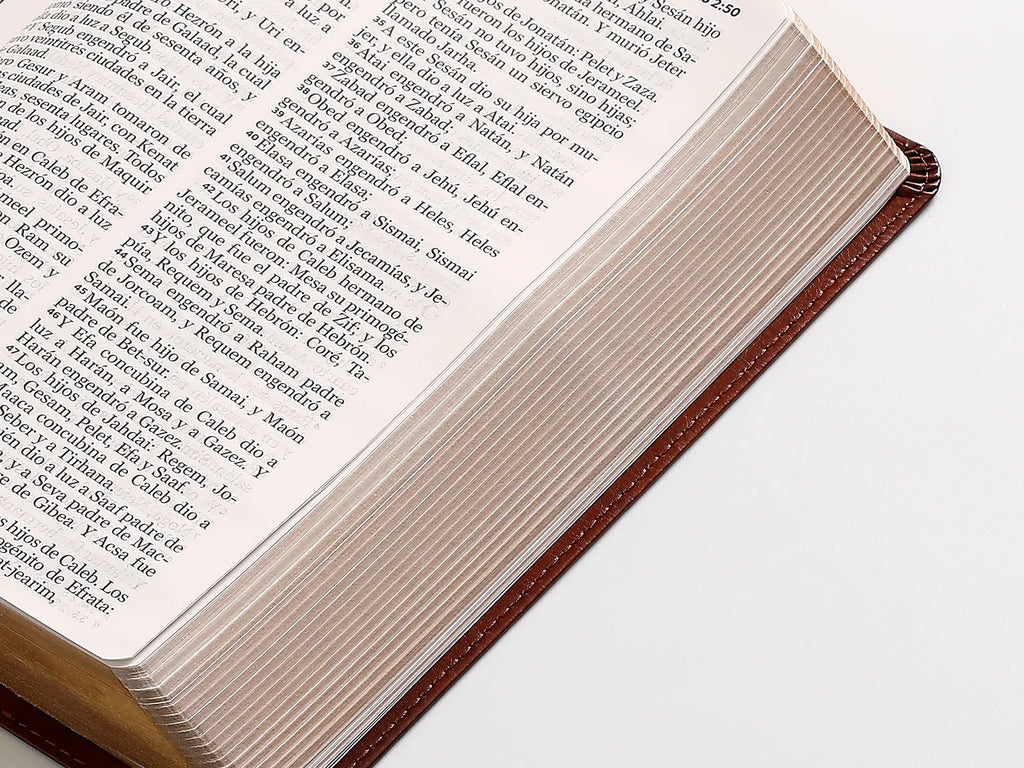 Biblia RVR60 Tamaño Manual Letra Grande i/piel CAFÉ