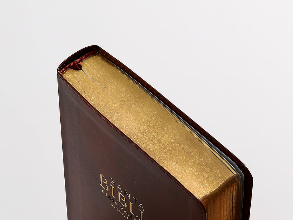 Biblia RVR60 Tamaño Manual Letra Grande i/piel CAFÉ